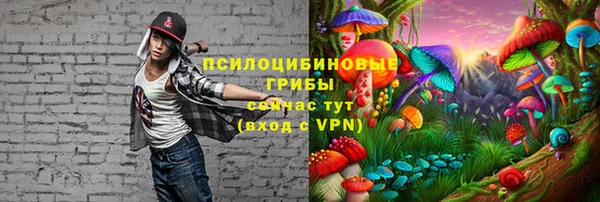 шишки Артём