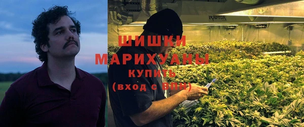 шишки Артём