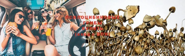 PSILOCYBIN Алагир